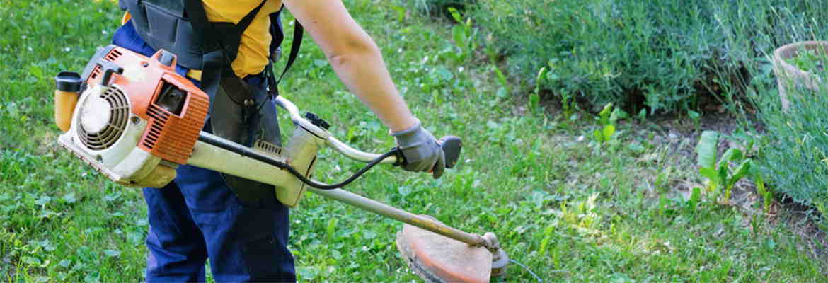 Außenanlagen- und Grünanlagenpflege, der zuverlässiger Service bei Grünanlagen und Außenanlagen